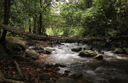 Thavinhal Resort | jungle view resort
