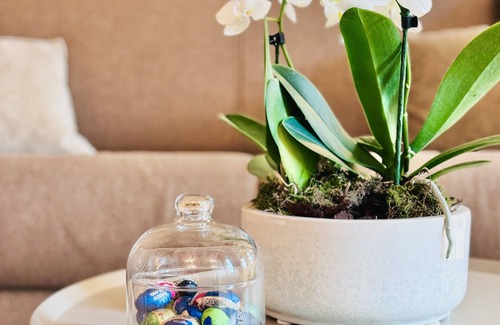 Padova Apartment | Junior Suite Prato Della Valle