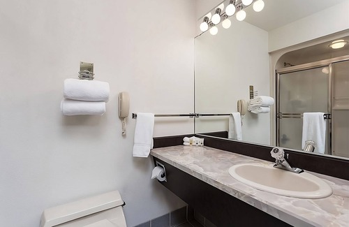 Orchard District Hotel | Just What You Were Looking For! On-Site Restaurant, Pet-Friendly, Free Parking