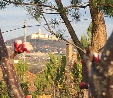 Ecs Apartment | Kékház Vendégház