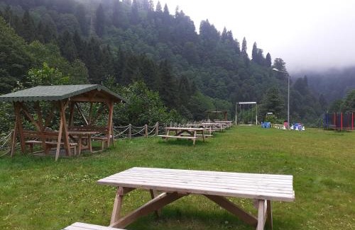 Ayder Yaylasi Hotel | Kackar Resort Hotel