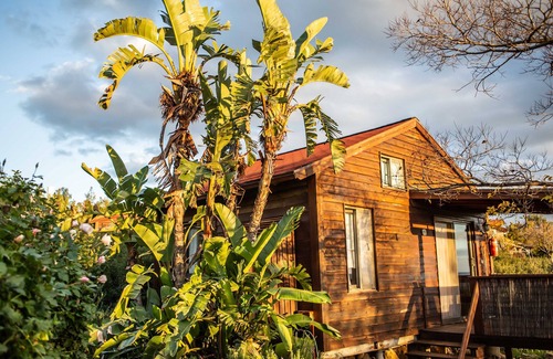 Kadarim Apartment | Kadarim Country Cottages