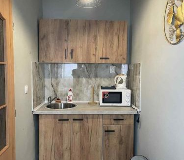 Teplice Apartment | Kael Apartment 2