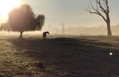 Caniambo Cottage | Kalara Cottage Farm stay