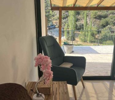 Vasa Koilaniou House | Kalidoniahouses