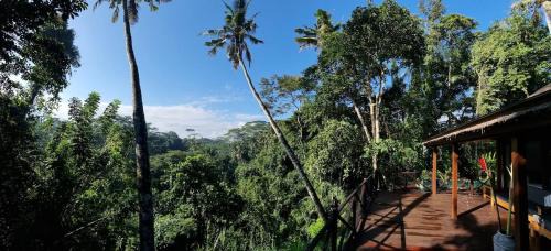 Melayang Villa | Kaloi Villa