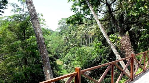 Melayang Villa | Kaloi Villa