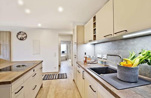 Hoehr-Grenzhausen Apartment | Kaminfeuer