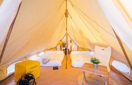 Concha Other | Kampaoh Oyambre