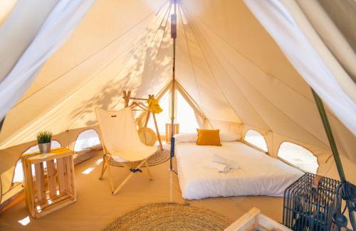 Concha Other | Kampaoh Oyambre