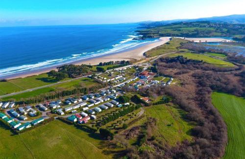 Concha Other | Kampaoh Oyambre