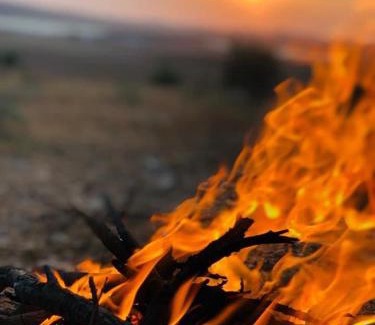 Al-Karak Other | karak camp