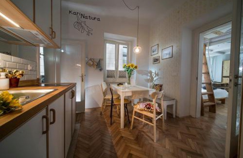 Ljubljana City Centre Apartment | KariNatura