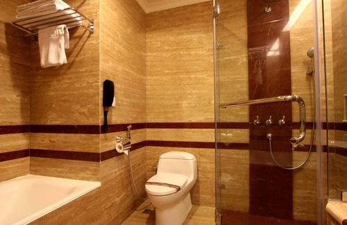 Senayan Hotel | Kartika Chandra