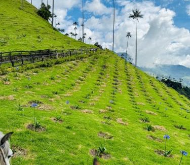 Calarca Villa | Kasa Venecia