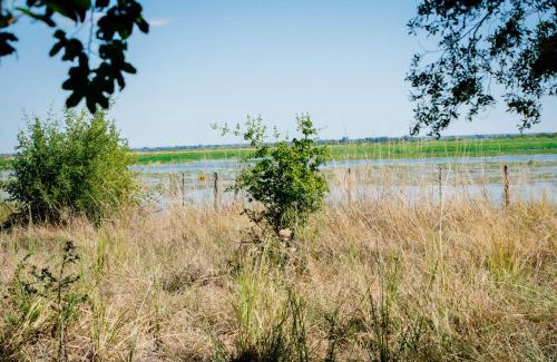North-West District Other | Kashete Campsite - Okavango Eastern Panhandle