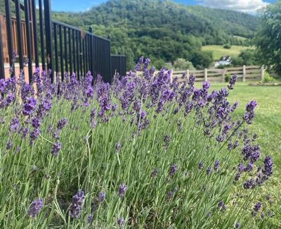 Kapolcs House | Kata Vendégház