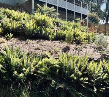 Katoomba House | Katoomba Hideaway - Free WIFI, Netflix, Disney PLUS