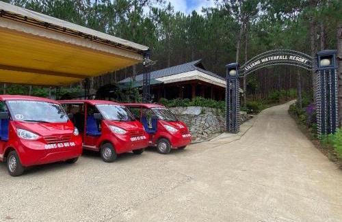 Di Linh Other | KDL Liliang