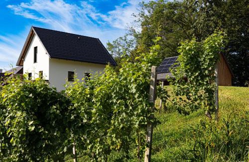 Gamlitz House | Kellerstöckel Steinbach
