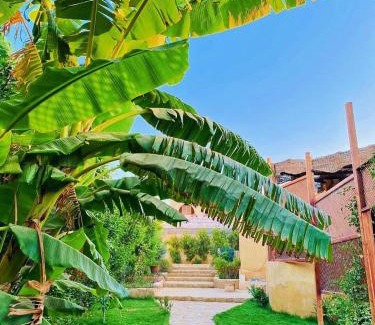 Tunis Village Villa | Khan tunis villa