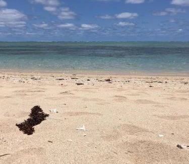 Surinam Apartment | Khesha’s Villa