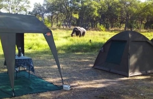 Khwai Other | Khwai Mokoro Safaris and Campsites