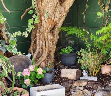 Strand House | Kidwelly Home, your perfect holiday destination