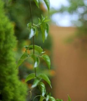 Rwanda Bed & Breakfast | Kigali B&B