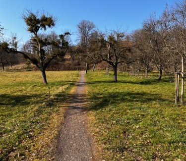 Luxem Apartment | Kinderparadies Alt Lüxem