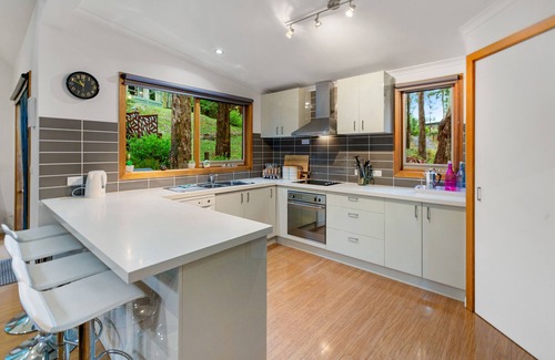 Sawmill Settlement House | King Parrot Retreat - Base of Buller