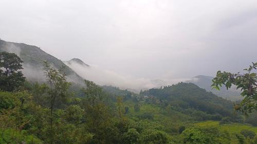 Ninnimamidi Resort | Kings Court Village Resort