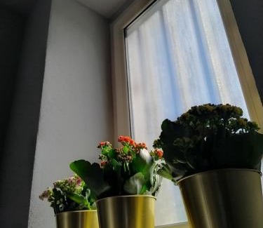 Celso Bed & Breakfast | KISS from CILENTO