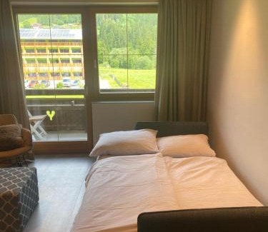 Hinterstoder Apartment | Kleines Chalet Hinterstoder