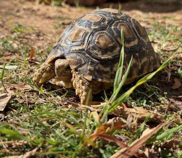 Kannaland Cabin | Klipkraal Cottage