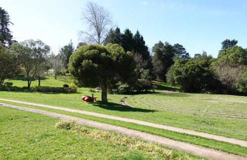 Knysna House | Knsyna Plato Garden Tranquil Getaway With Pool