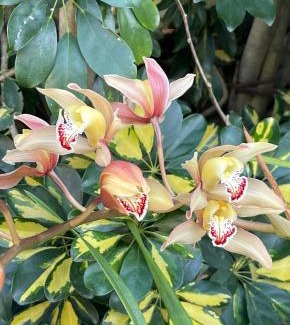 Old Place Bed & Breakfast | Knys-to-stay