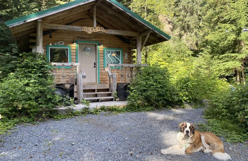 Bear Creek Cabin | Kobuk’s Kabin - Cozy and Dog-Friendly