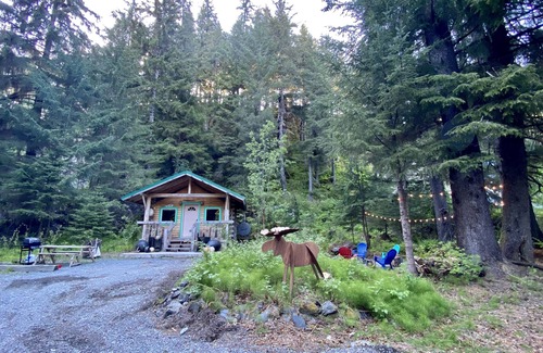 Bear Creek Cabin | Kobuk’s Kabin - Cozy and Dog-Friendly