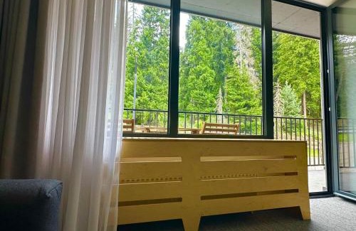 Bakuriani Apartment | Kokhta-Mitarbi Resort, Apartment B3,206