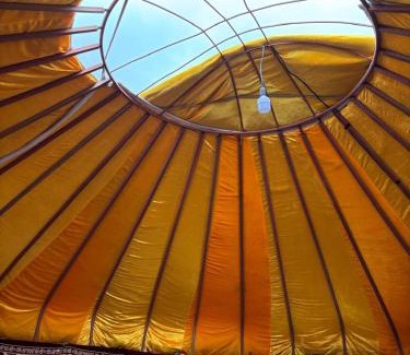 Almaty Province Other | Kolsay Yurt