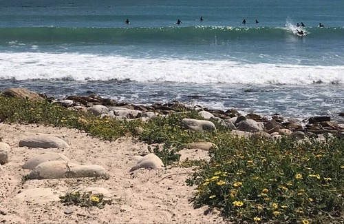 Kommetjie House | Kommetjie Sunny Seaside Cottage