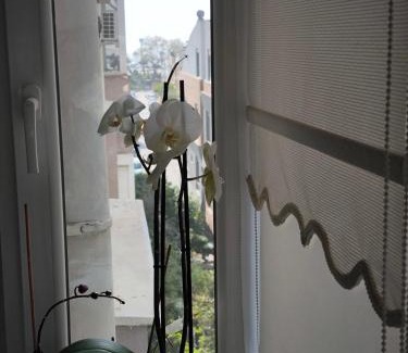 Altnkum Mahallesi Apartment | konyaaltı iki odalı daire