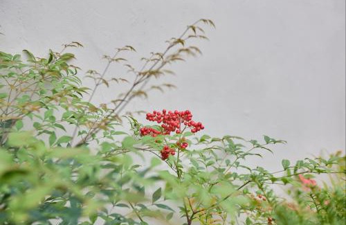 Andong Ski Chalet | Korean Chalet 소연정 Hanok stay