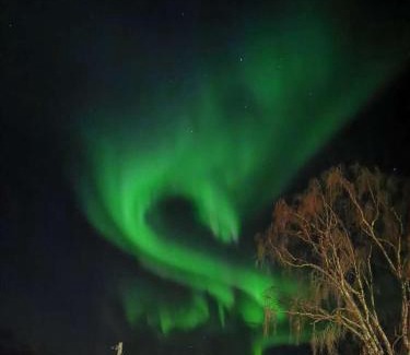Salangen House | Koselig overnattingssted med fjordutsikt