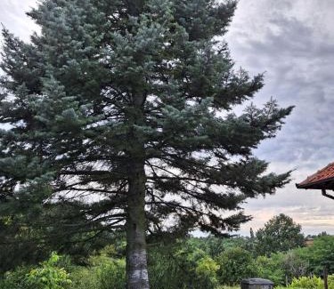 Mladenovac Villa | Kosmajski Beg: Vaša privatna vikendica sa bazenom