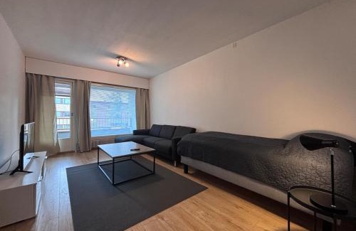 Seinajoki Apartment | Kotimaailma - Cozy and spacious apartment