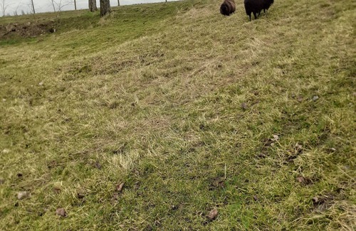 Oucques Ski Chalet | Kotta grill