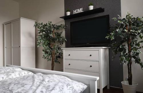 Decin Apartment | Krásný byt v centru Děčína