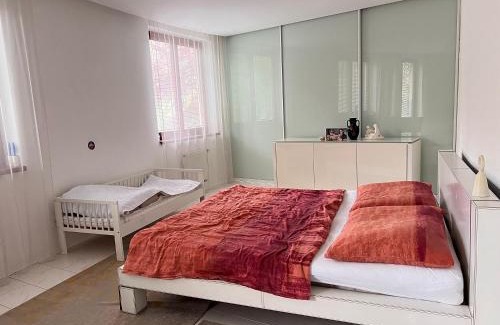 Ostrava Apartment | Krásný velký byt s terasou